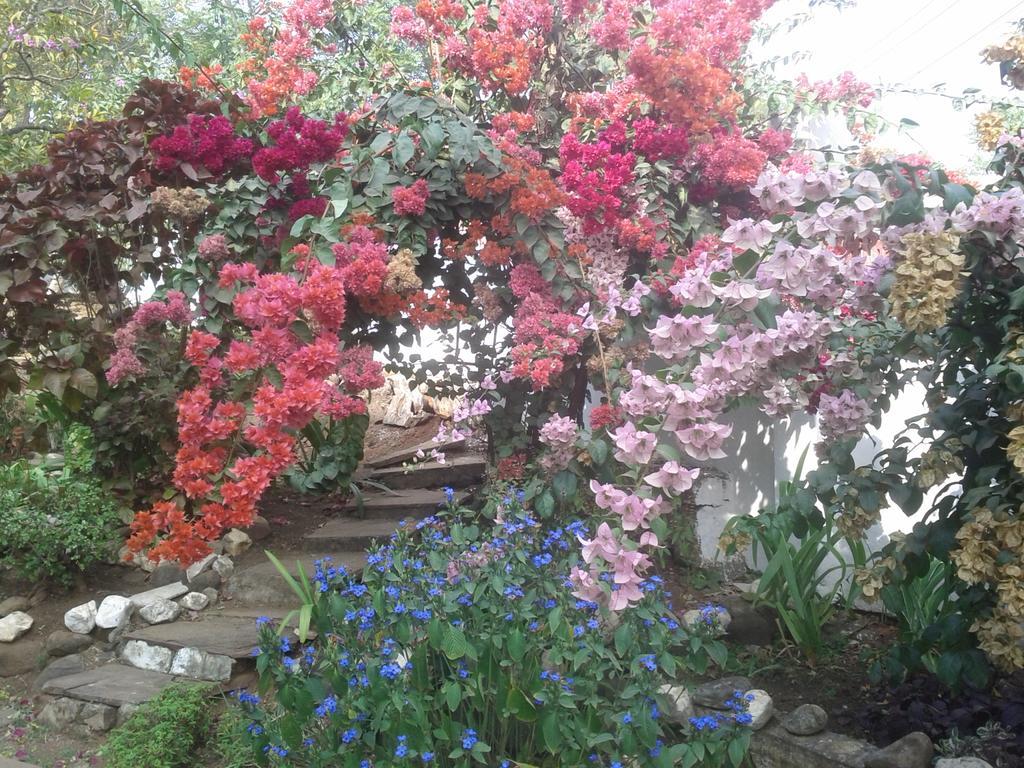 Jheelam Homestay Bhopal Eksteriør bilde