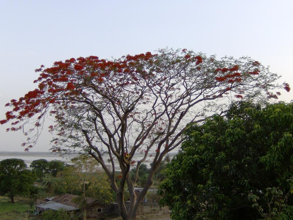 Jheelam Homestay Bhopal Eksteriør bilde